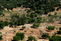 Mallorca, Countryside, Stone Walls1033826a