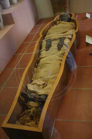 Vatican, Museum, Egyptian Mummy V0946138