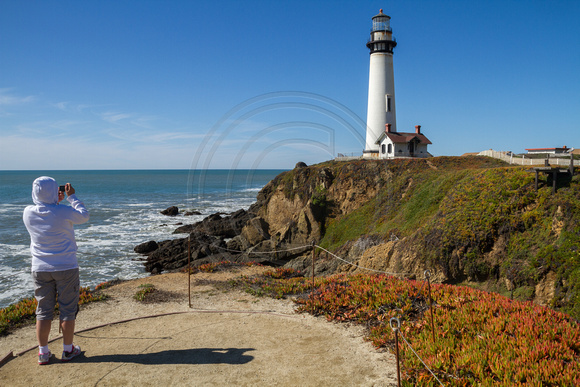 Pigeon Point, Lighthouse140-9543