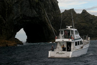 Bay of Islands, Hole in the Rock, Boat0734689