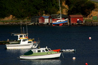 Stewart Island, Halfmoon Bay, Dock0815434