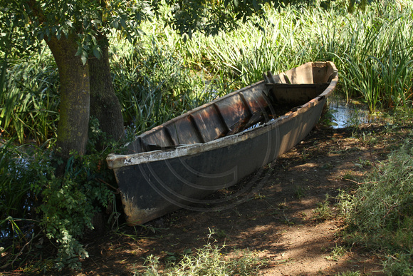 El Kala NP, Boat1027337