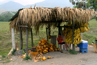 Eastern Guatemala, Roadside Fruit Vendor1117249a