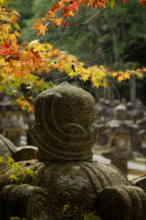 Hagi, Tokoji Temple, Spider V0833767a
