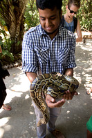 SAS Student, Bahia Coast, Sapiranga Forest, Python V151-9290