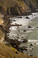Golden Gate NRA, Muir Beach V112-3778