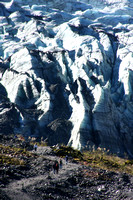 Fox Glacier V0811935