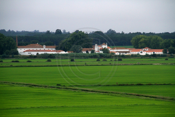 Coimbra Area, Countryside1035576a