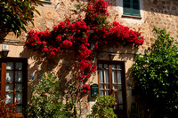 Mallorca, Valldemossa, Bldg, Flowers1033962