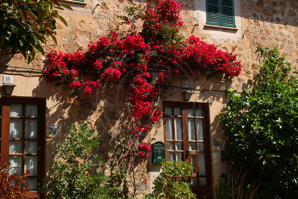 Mallorca, Valldemossa, Bldg, Flowers1033962