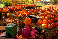 Dover, Pumpkin Farm141-2701