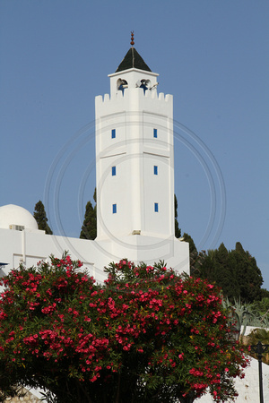 Sidi-Bou-Said, Minaret, Flowers V1026967