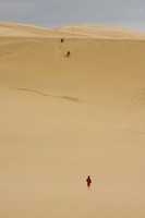 Te Paki Giant Sand Dunes V0816900