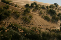 Te Paki Giant Sand Dunes0734372