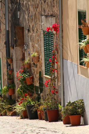 Mallorca, Valldemossa, Bldgs, Flowers V1033976