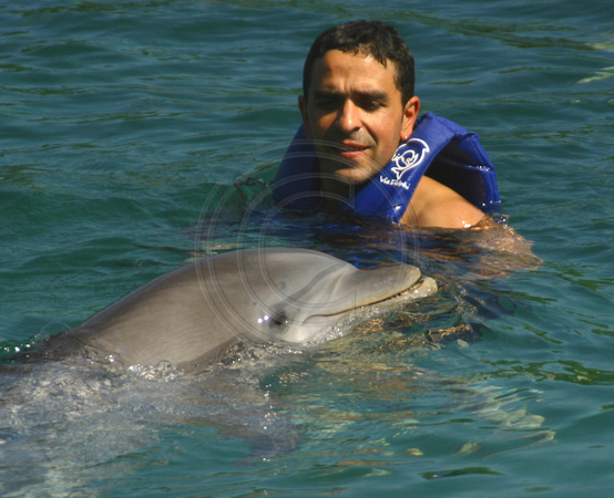 Xel-Ha, Swimming w Dolphins021115-0066a