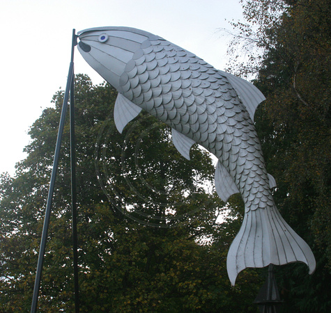 Taupo, Fish Sculpture0730650a