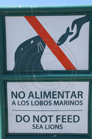 Ensenada, Sign, Don't Feed Sea Lions V1115429
