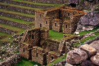 Machu Picchu S -0016