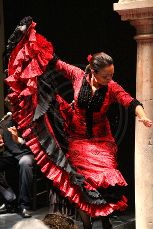 Sevilla, Flamenco Performer V1035263a