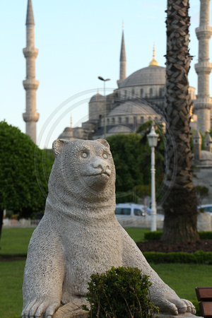 Istanbul, Blue Mosque, Bear V1015601