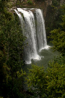 Whangarei, Whangarei Falls V0734118