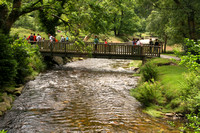 Wicklow Area, Countryside, Stream, Bridge1038689a