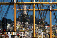 San Francisco, SF Maritime NHP141-1261