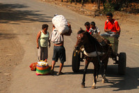 Nicaragua, Village, Horse and Cart1116222a