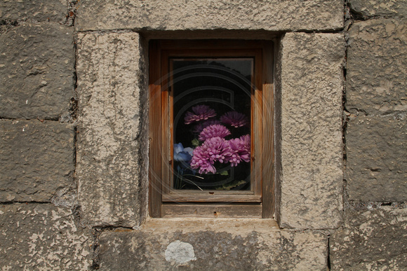 Mljet, Monastery of St Mary, Flowers in Window1021259