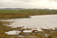 Isle of Lewis, Countryside, Bldg1039462a