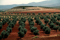 Andalucia, Countryside, Rt A44 1034805a