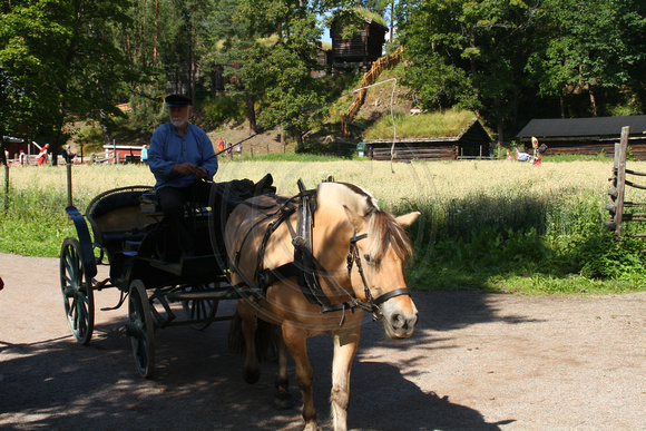 Oslo, Norsk Folkemuseum, Horse, Cart1044092
