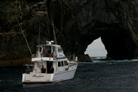 Bay of Islands, Hole in the Rock, Boat0734692