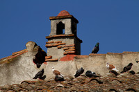 Tortoli, Sardinia, Bldg, Tower1028315