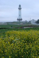 Pescadero, Pigeon Point Lighthouse V0730051