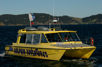 Bay of Islands, Dolphin Watching0734584