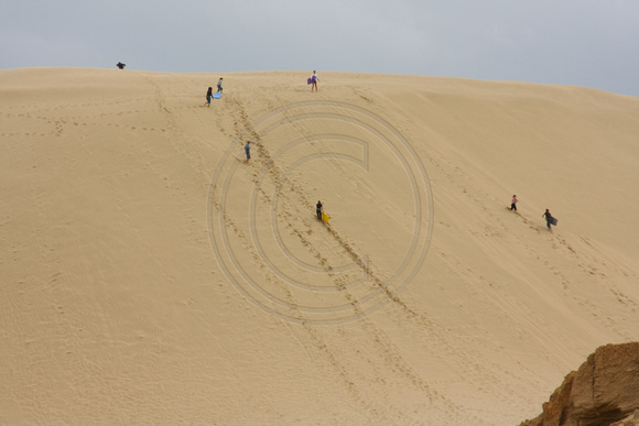 Te Paki Giant Sand Dunes0816847