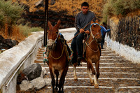 Santorini, Fira, Steps, Donkeys1017633