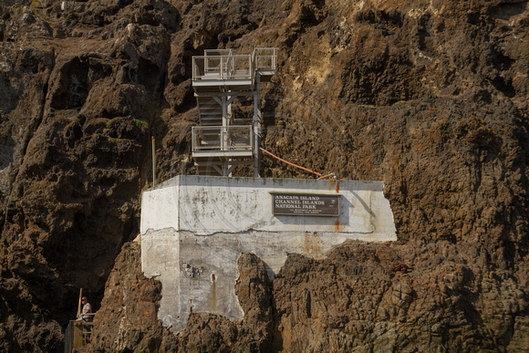 Channel Islands NP, Anacapa Is, Dock, Stairway140-9320