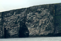 Shetland Islands, Bird Rock1040201a