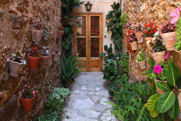 Mallorca, Valldemossa, Wall Flowers1033954a