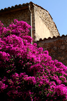 Mallorca, Valldemossa, Bldgs, Flowers V1033977