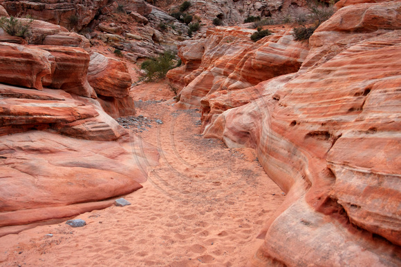 Valley of Fire SP, White Domes Tr0748941a